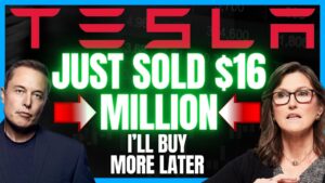 Tesla Stock Will Drop Due To Q3 Deliveries! TSLA Stock Will POP because of Cathie Wood of Ark Invest