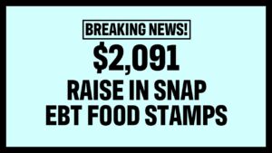 RAISE IN SNAP EBT FOOD STAMP BENEFITS (JANUARY & FEBRUARY 2024) - COMPLETE DETAILS!
